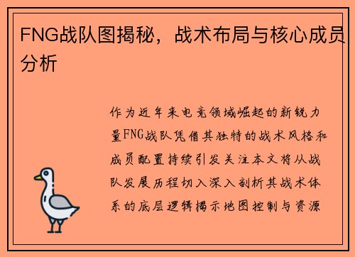 FNG战队图揭秘，战术布局与核心成员分析
