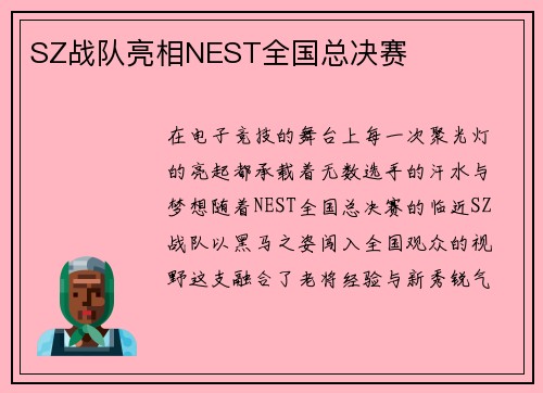 SZ战队亮相NEST全国总决赛